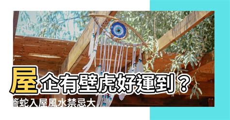 屋企有壁虎風水|家中見壁虎 好運降臨？一文看壁虎出沒4大風水寓意+6。